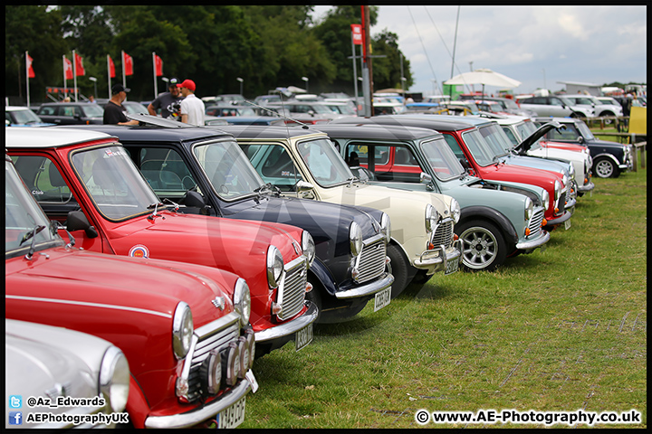 Mini_Festival_Brands_Hatch_17-07-16_AE_112.jpg