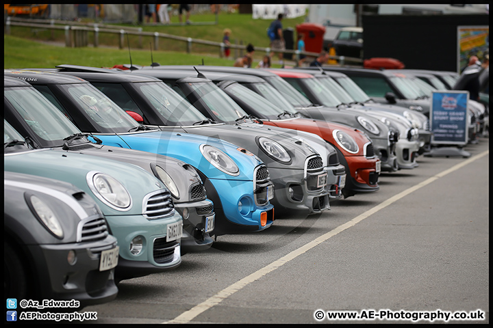 Mini_Festival_Brands_Hatch_17-07-16_AE_114.jpg