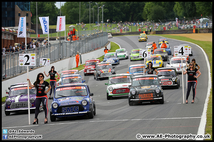 Mini_Festival_Brands_Hatch_17-07-16_AE_119.jpg