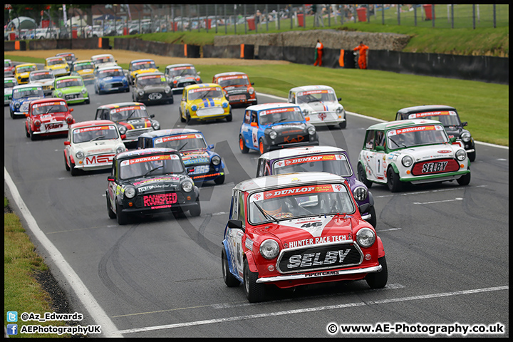 Mini_Festival_Brands_Hatch_17-07-16_AE_122.jpg