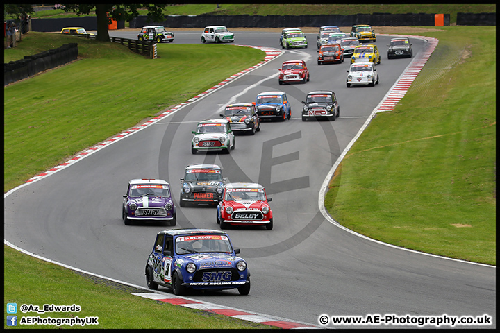 Mini_Festival_Brands_Hatch_17-07-16_AE_125.jpg