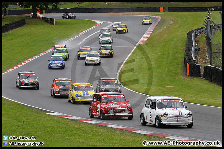 Mini_Festival_Brands_Hatch_17-07-16_AE_126.jpg