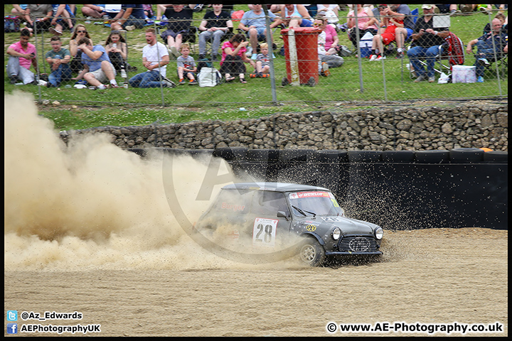 Mini_Festival_Brands_Hatch_17-07-16_AE_129.jpg