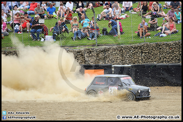 Mini_Festival_Brands_Hatch_17-07-16_AE_130.jpg