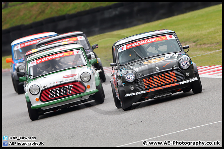 Mini_Festival_Brands_Hatch_17-07-16_AE_138.jpg