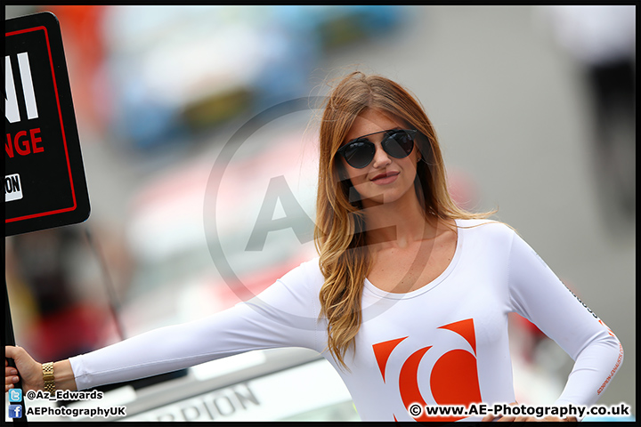 Mini_Festival_Brands_Hatch_17-07-16_AE_159.jpg