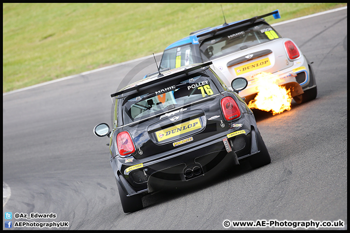 Mini_Festival_Brands_Hatch_17-07-16_AE_185.jpg