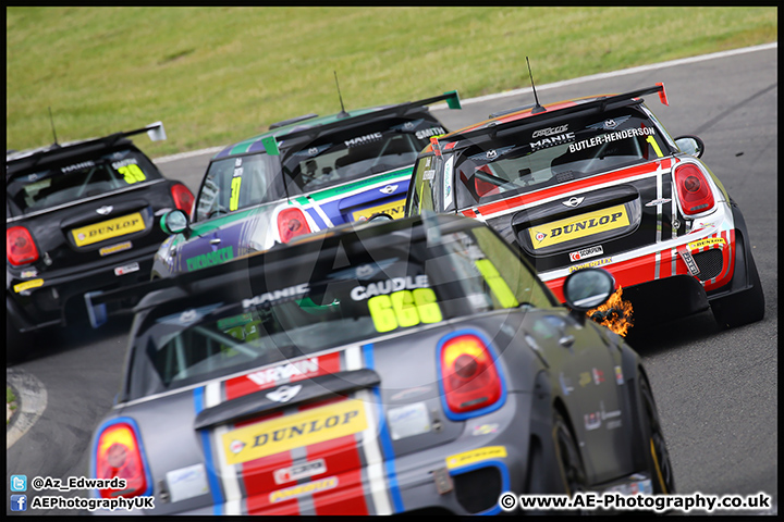 Mini_Festival_Brands_Hatch_17-07-16_AE_191.jpg