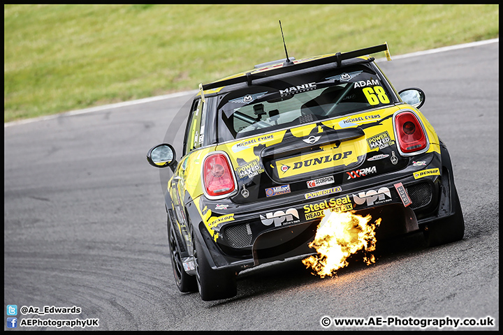 Mini_Festival_Brands_Hatch_17-07-16_AE_194.jpg