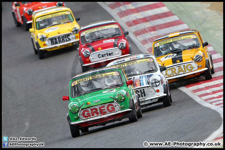 Mini_Festival_Brands_Hatch_17-07-16_AE_213.jpg