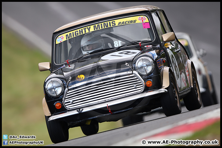 Mini_Festival_Brands_Hatch_17-07-16_AE_216.jpg