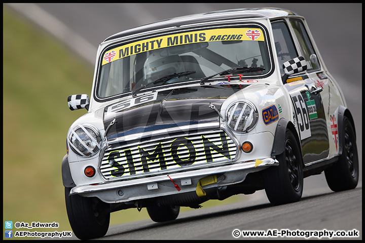 Mini_Festival_Brands_Hatch_17-07-16_AE_218.jpg