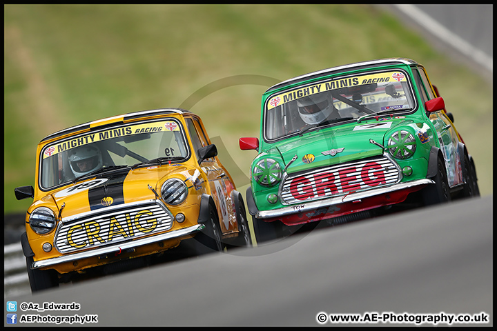 Mini_Festival_Brands_Hatch_17-07-16_AE_219.jpg