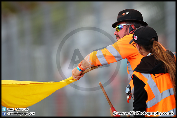 Mini_Festival_Brands_Hatch_17-07-16_AE_220.jpg