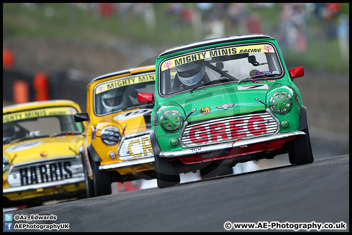 Mini_Festival_Brands_Hatch_17-07-16_AE_230.jpg