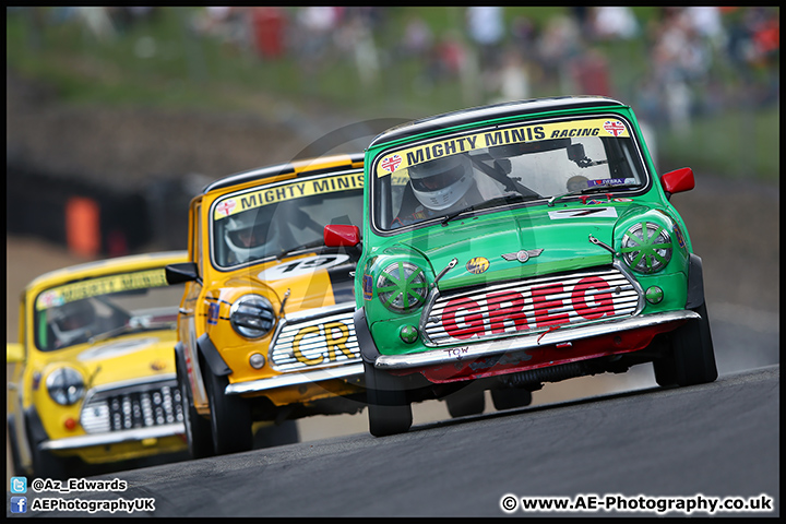 Mini_Festival_Brands_Hatch_17-07-16_AE_232.jpg