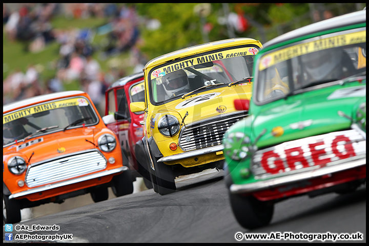 Mini_Festival_Brands_Hatch_17-07-16_AE_234.jpg