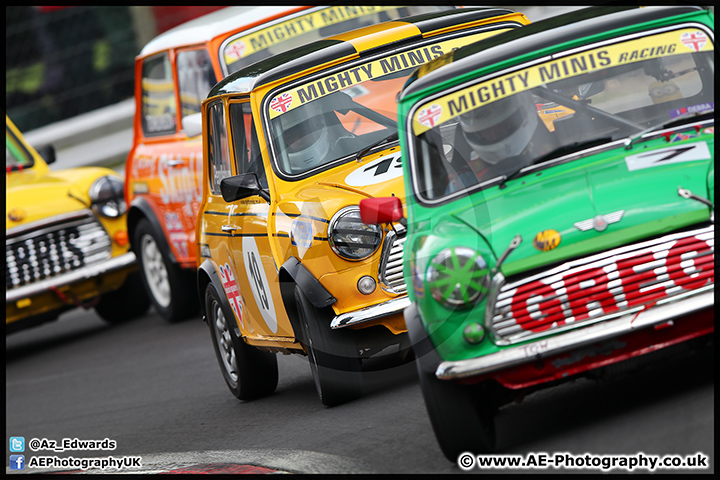 Mini_Festival_Brands_Hatch_17-07-16_AE_235.jpg