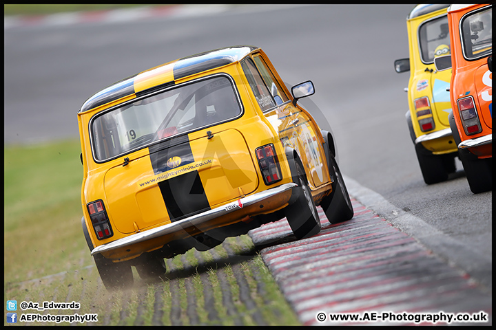 Mini_Festival_Brands_Hatch_17-07-16_AE_236.jpg