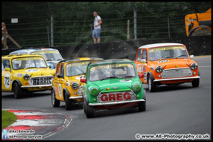 Mini_Festival_Brands_Hatch_17-07-16_AE_237.jpg