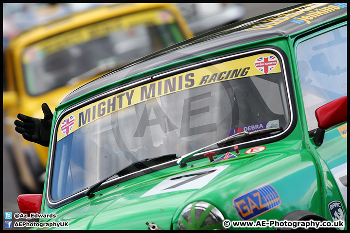 Mini_Festival_Brands_Hatch_17-07-16_AE_238.jpg