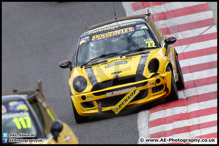 Mini_Festival_Brands_Hatch_17-07-16_AE_250.jpg