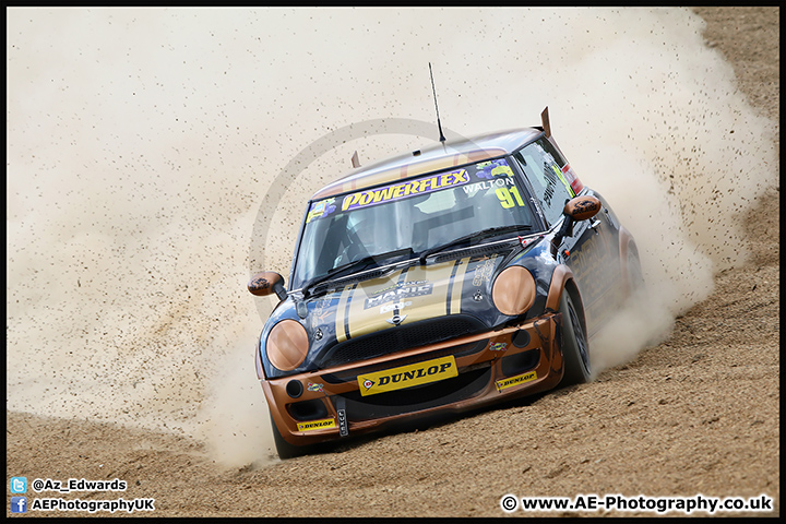 Mini_Festival_Brands_Hatch_17-07-16_AE_258.jpg