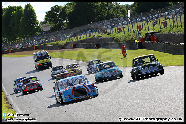 Mini_Festival_Brands_Hatch_17-07-16_AE_293.jpg