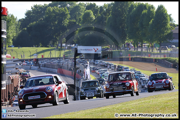 Mini_Festival_Brands_Hatch_17-07-16_AE_300.jpg