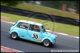 Mini_Festival_Brands_Hatch_17-07-16_AE_015