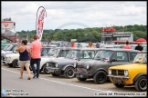 Mini_Festival_Brands_Hatch_17-07-16_AE_107