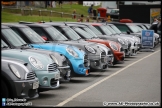 Mini_Festival_Brands_Hatch_17-07-16_AE_114