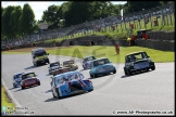 Mini_Festival_Brands_Hatch_17-07-16_AE_293