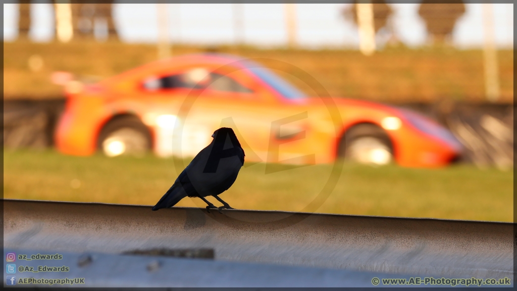 Britcar_Brands_Hatch_18-11-2018_AE_120.jpg