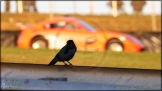 Britcar_Brands_Hatch_18-11-2018_AE_120