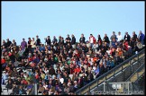 Formula_Ford_Festival_Brands_Hatch_181009_AE_054