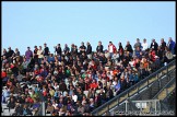 Formula_Ford_Festival_Brands_Hatch_181009_AE_054