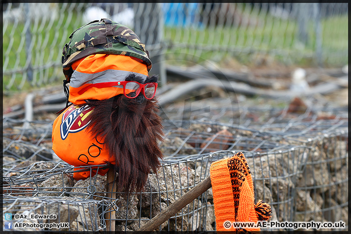 BSB_Brands_Hatch_19-04-15_AE_049.jpg