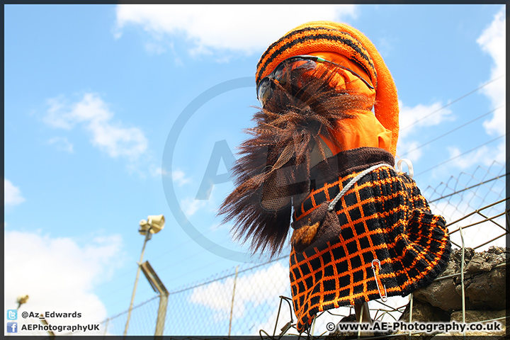 BSB_Brands_Hatch_19-07-15_AE_078.jpg