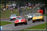 Lotus_Festival_Brands_Hatch_190812_AE_088