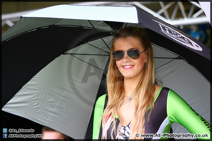 BSB_Brands_Hatch_191014_AE_006.jpg