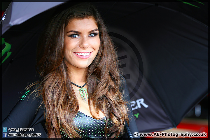 BSB_Brands_Hatch_191014_AE_008.jpg