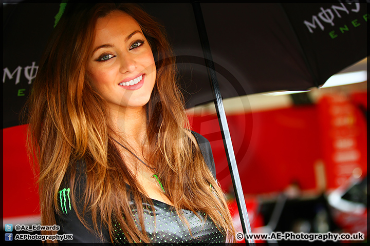BSB_Brands_Hatch_191014_AE_010.jpg