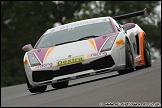 MSVR_GP_Weekend_Brands_Hatch_200811_AE_245