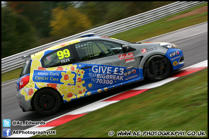 BTCC_and_Support_Brands_Hatch_201012_AE_040.jpg