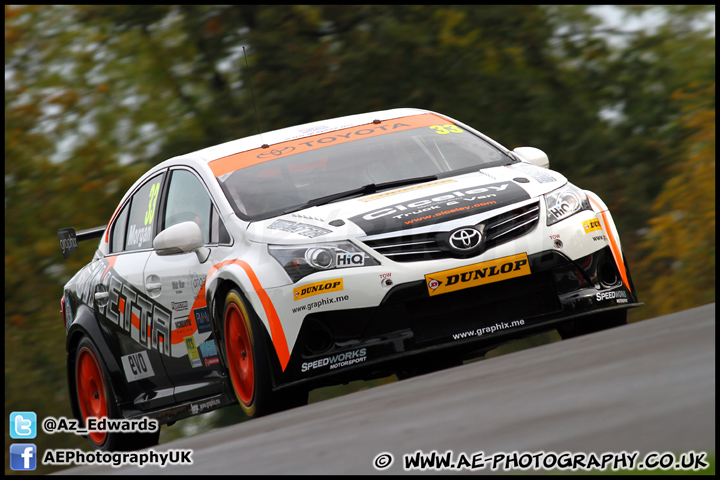 BTCC_and_Support_Brands_Hatch_201012_AE_045.jpg