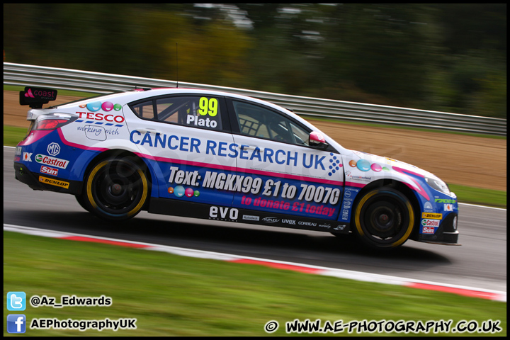 BTCC_and_Support_Brands_Hatch_201012_AE_060.jpg