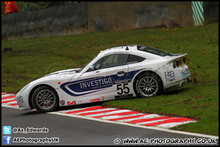 BTCC_and_Support_Brands_Hatch_201012_AE_079.jpg