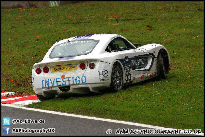 BTCC_and_Support_Brands_Hatch_201012_AE_080.jpg