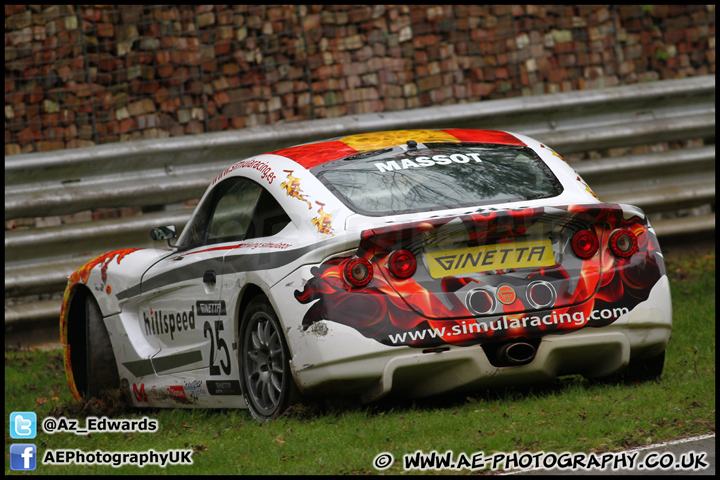 BTCC_and_Support_Brands_Hatch_201012_AE_084.jpg